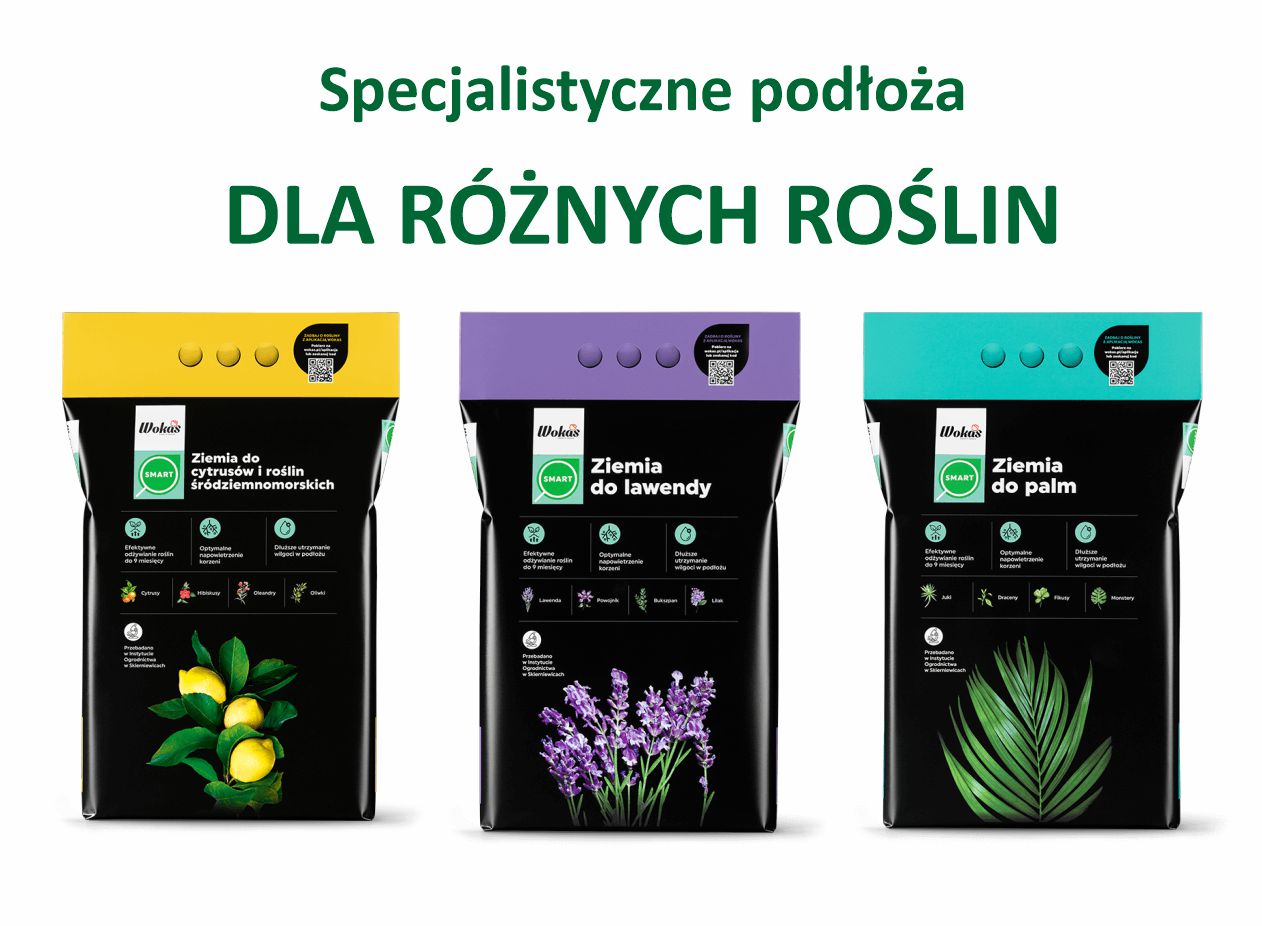 Banery_strona główna1.jpg